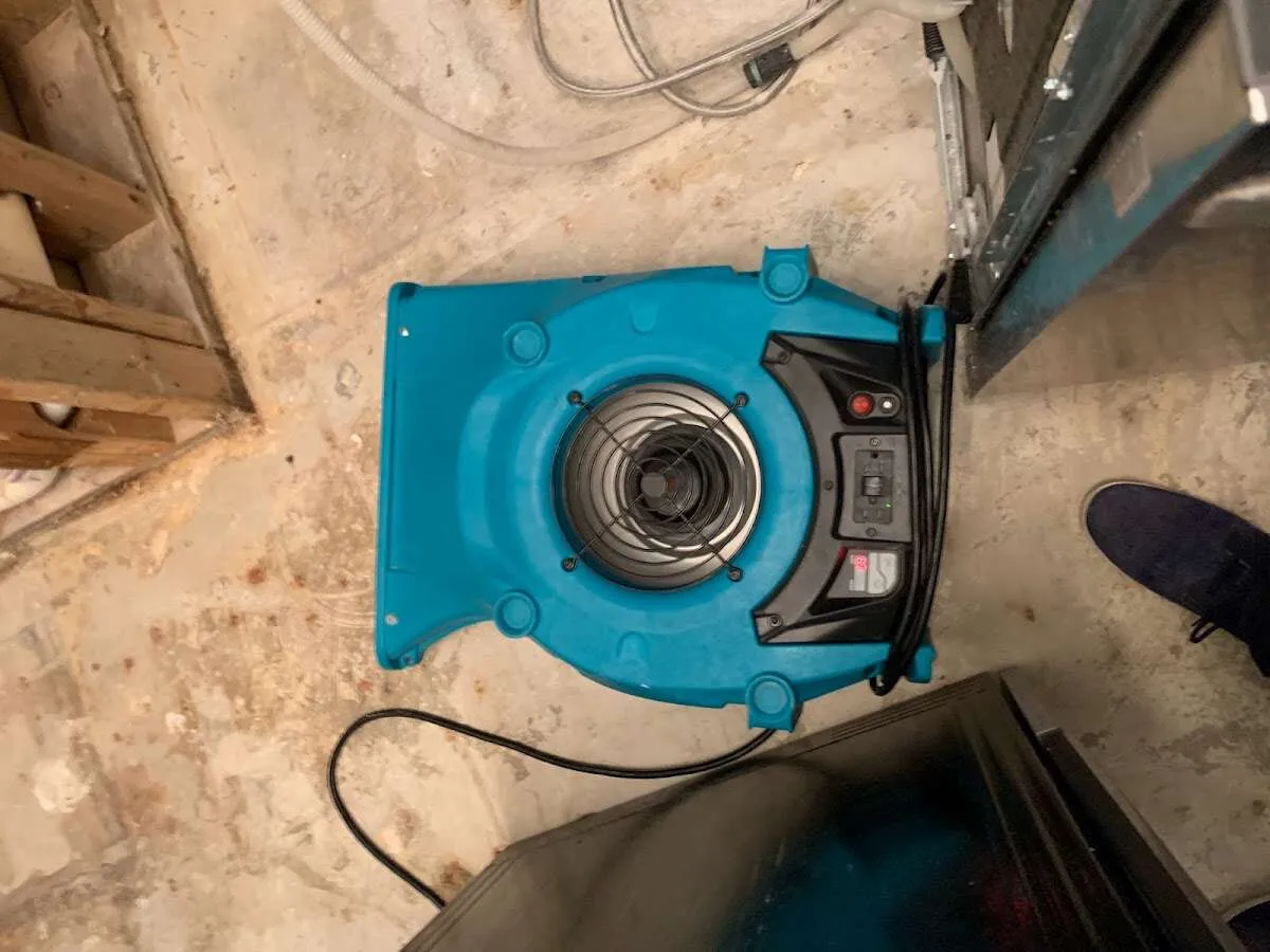 Air mover drying equipment for Mold Remediation & Removal in Harrison