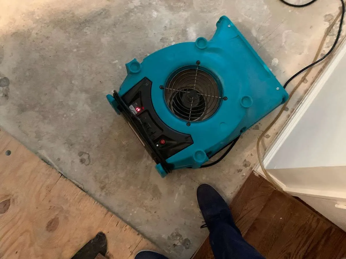 Air mover drying subfloor during Commercial Water Damage Restoration in Harrison